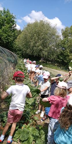 Sortie des CP à la Jardine'Hier