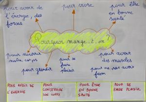 Ateliers sciences en CM1