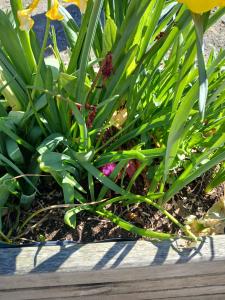 Top départ pour la chasse aux œufs ! 